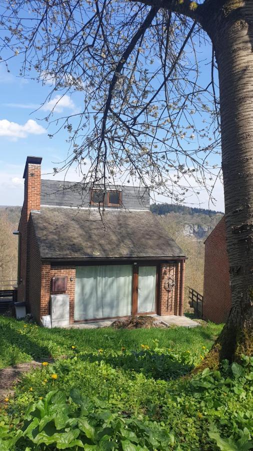 La Cabane D'Helie - Cottage En Pleine Foret - Domaine Du Bonsoy Hastiere-par-dela Exterior photo