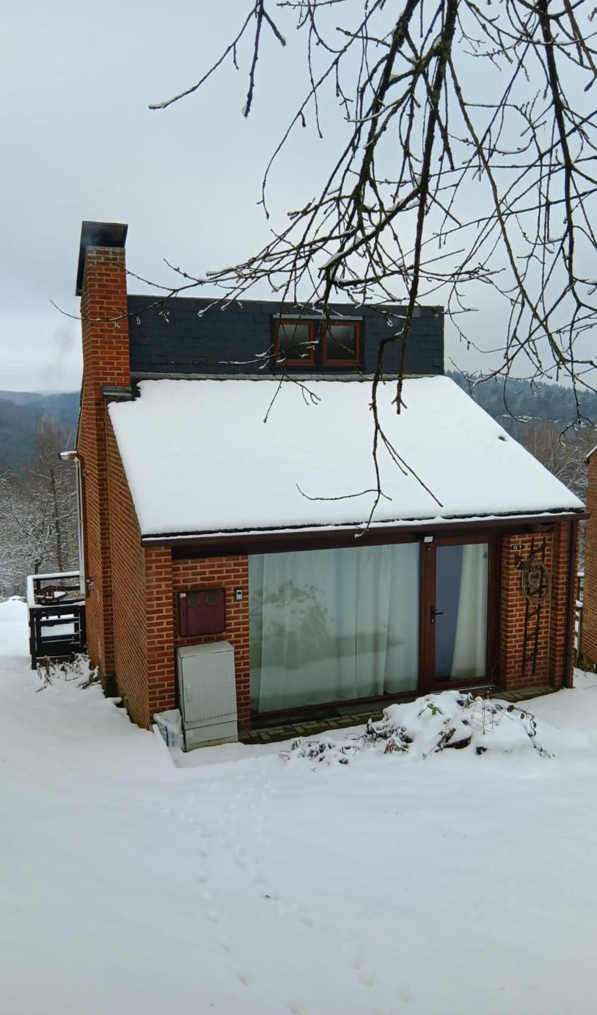 La Cabane D'Helie - Cottage En Pleine Foret - Domaine Du Bonsoy Hastiere-par-dela Exterior photo